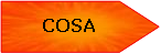 Pentagono: COSA