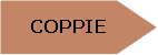 Pentagono: COPPIE