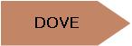 Pentagono: DOVE