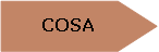 Pentagono: COSA